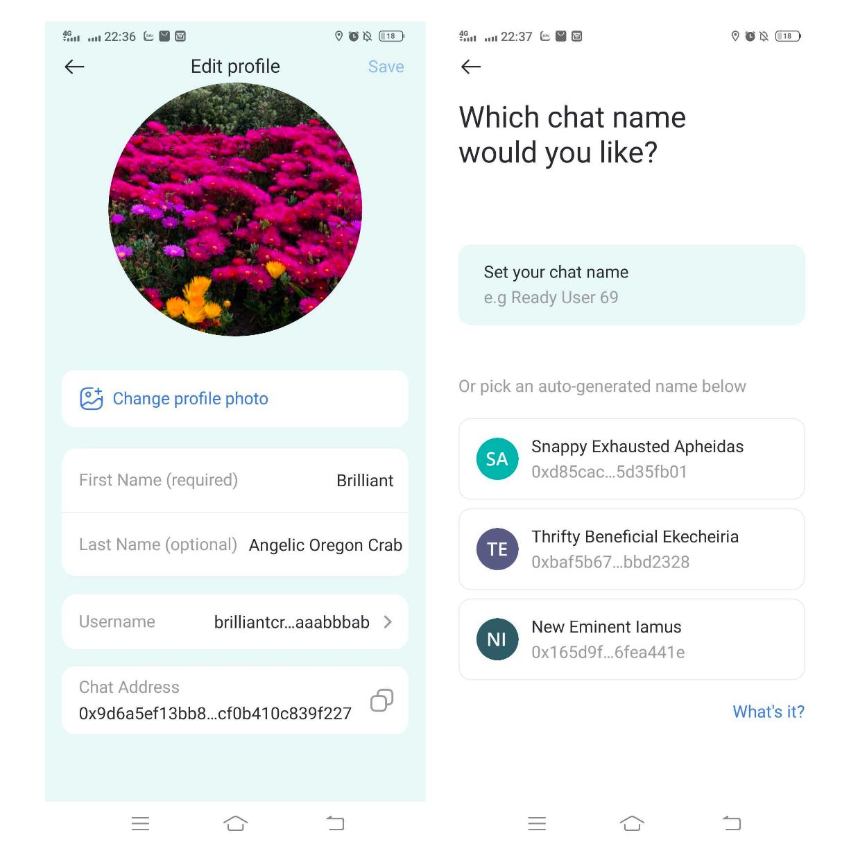 Names in Ready App Display Name, Unique Username, Nickname Explained Ready